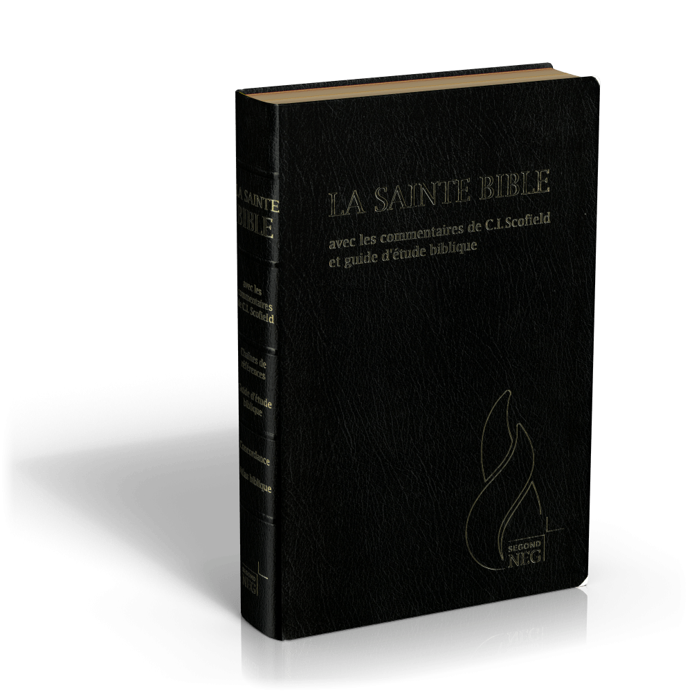 Bible d'étude Segond NEG Scofield, noire tr. or