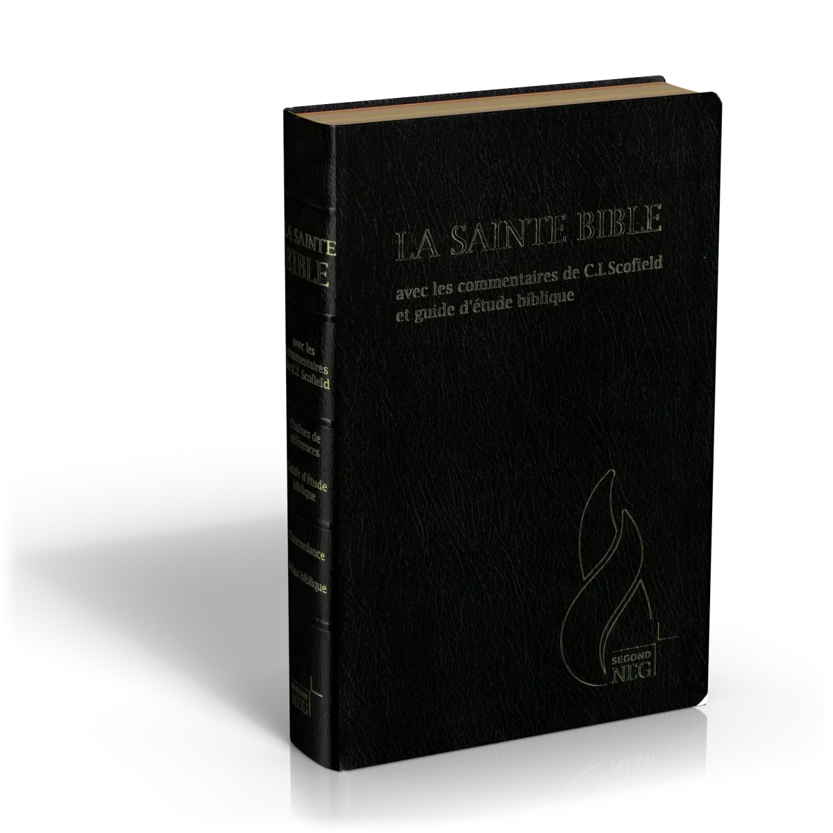 Bible d'étude Segond NEG Scofield, noire tr. or