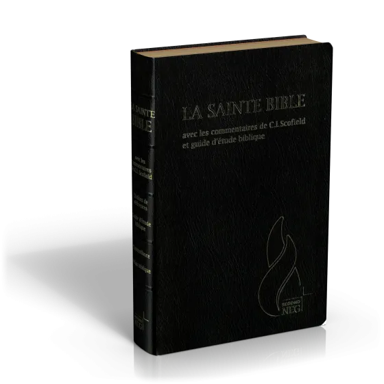 Bible d'étude Segond NEG Scofield, noire tr. or