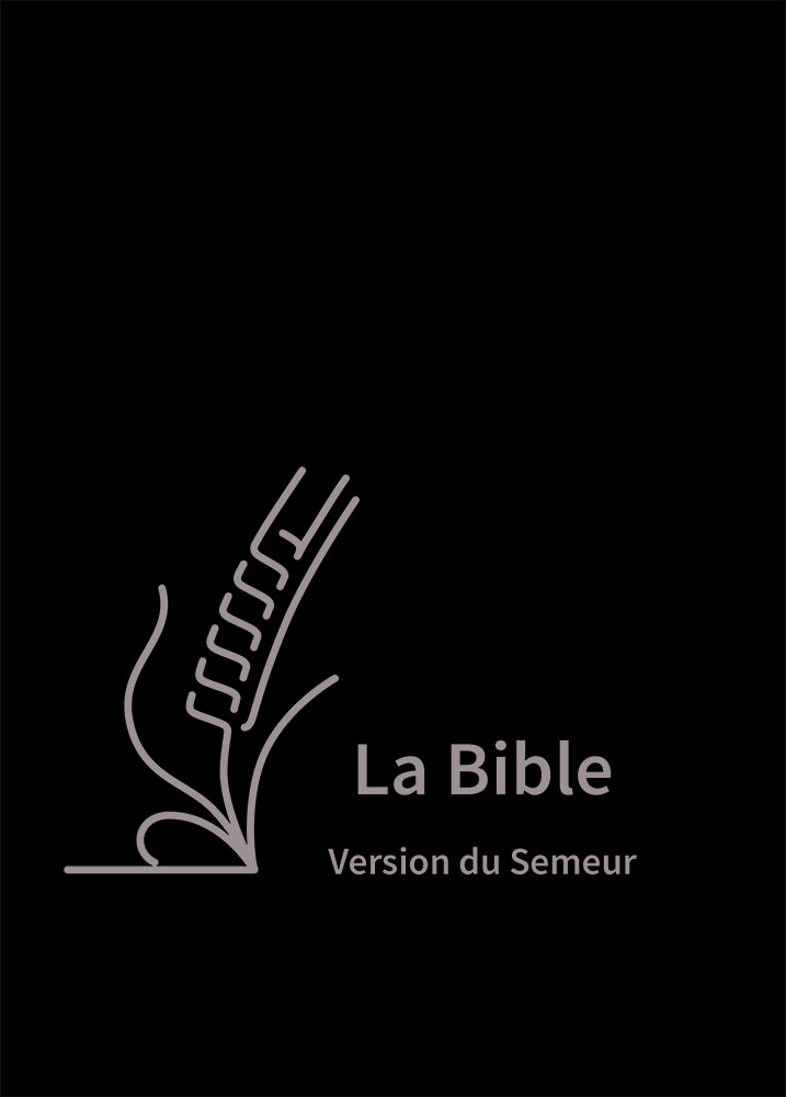 Bible Version Semeur, avec gros caractères
Couverture skivertex noire