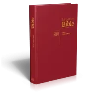 Bible NEG gros caractères. rigide, bordeaux
