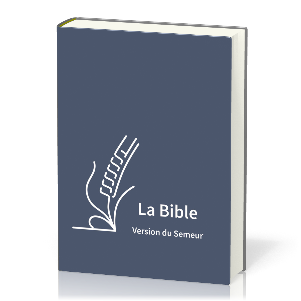 Bible Semeur 2015 GC semi-souple