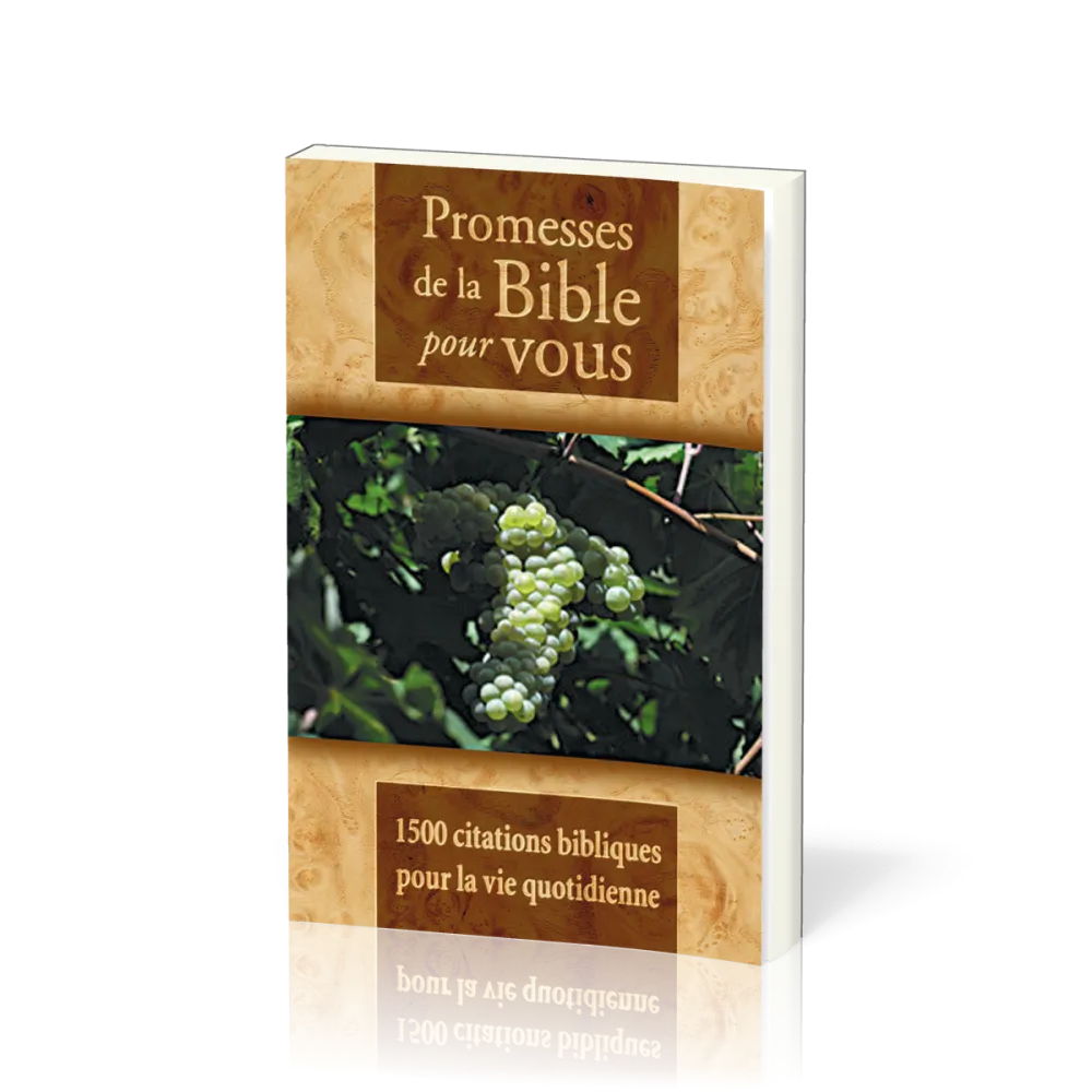 Promesses de la Bible pour vous