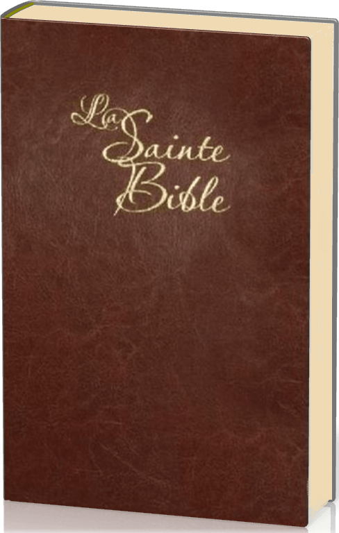 Bible Segond 1910 à gros caractères, Modèle souple, marron - tranche or, onglets couverture PU