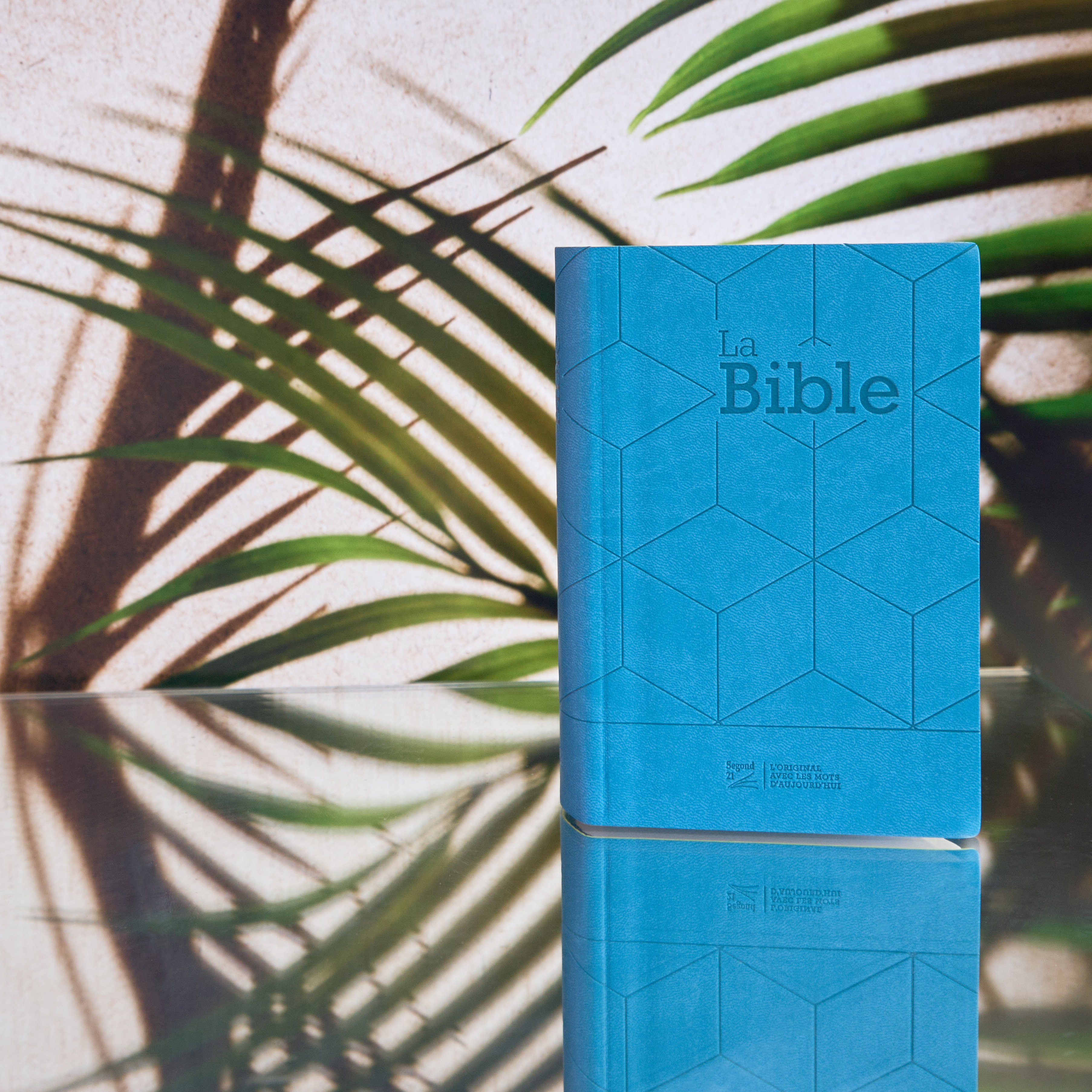 Bible S21 compacte, vert, souple SG12257