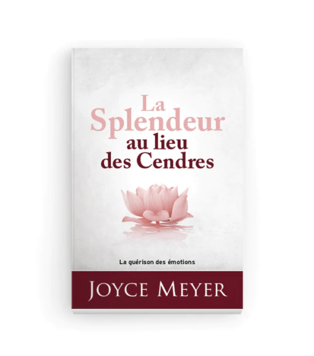 La Splendeur au lieu des cendres