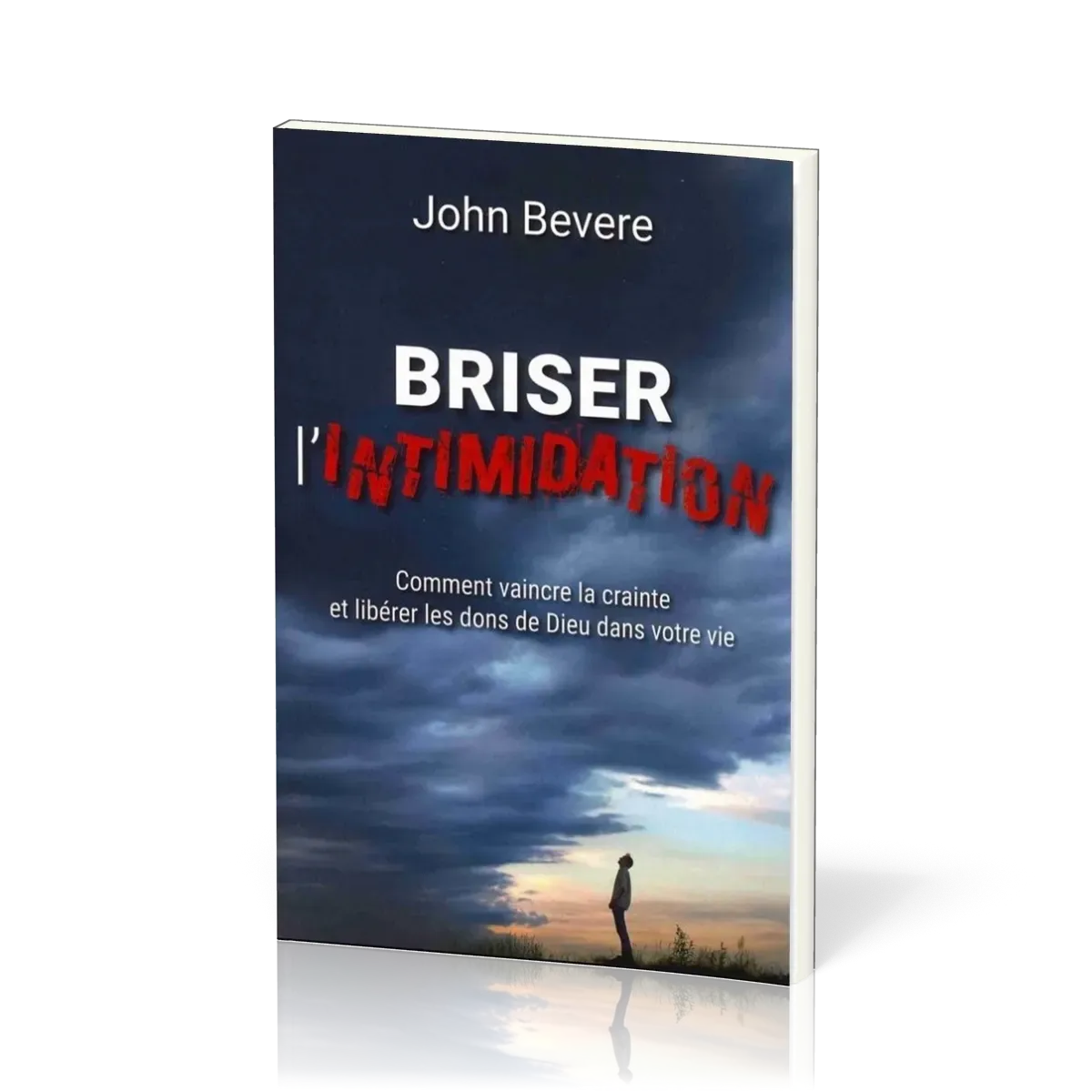 Briser l'intimidation