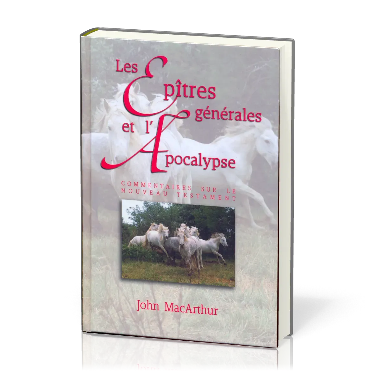 Epîtres générales et l'Apocalypse (Les)
