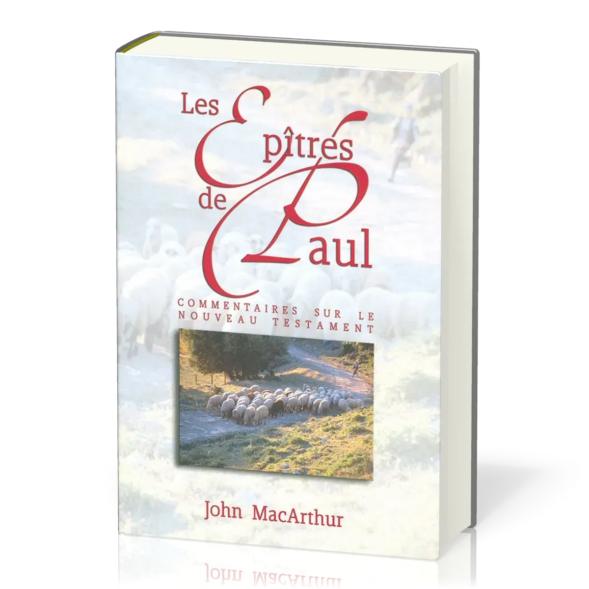 Epîtres de Paul (Les)