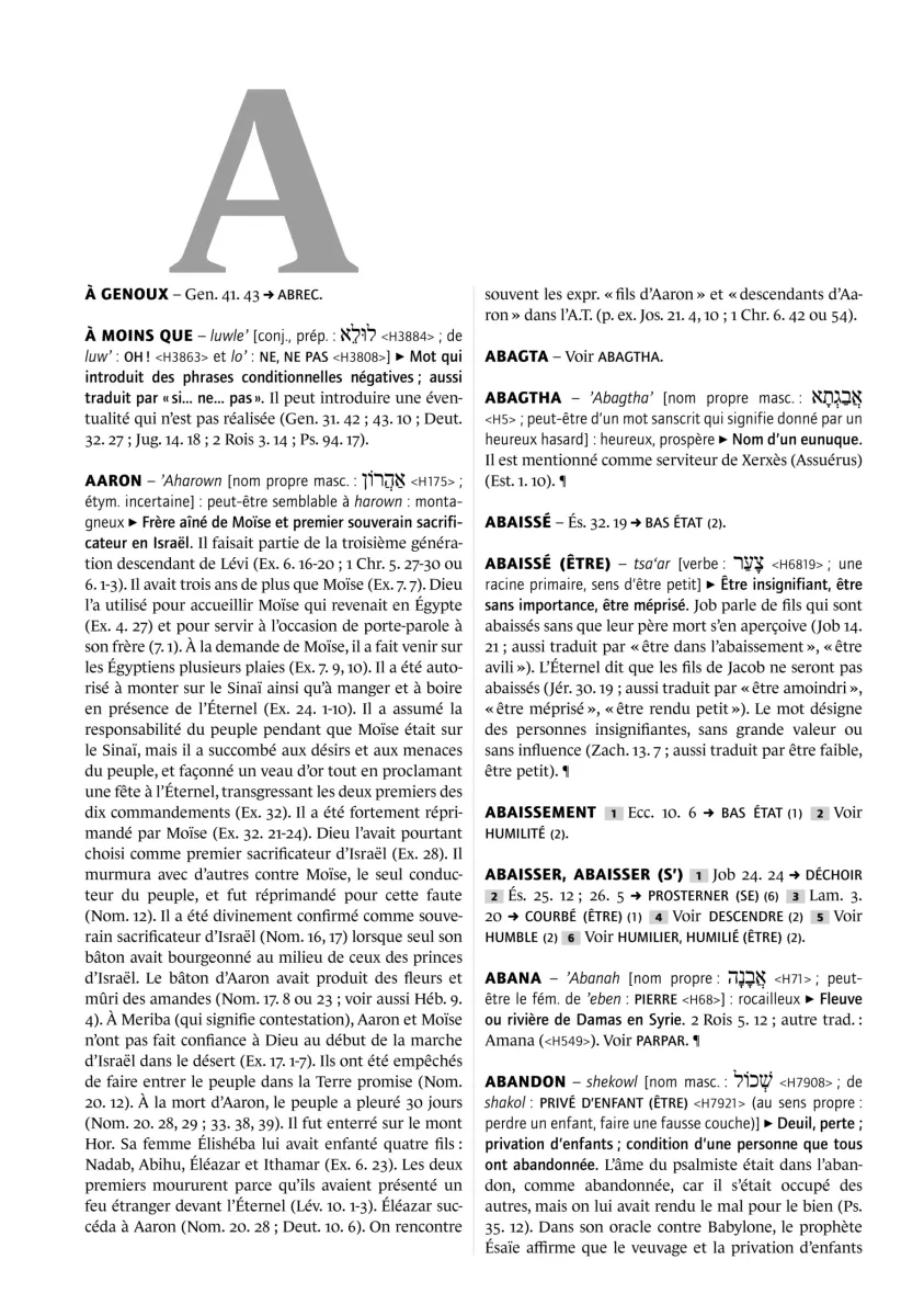 Dictionnaire Ancien Testament grand format